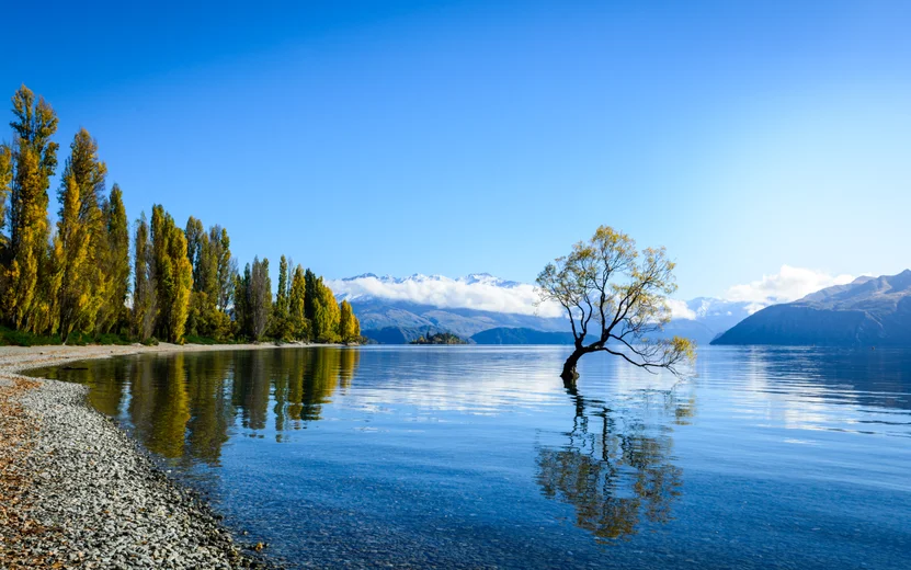 Wanaka